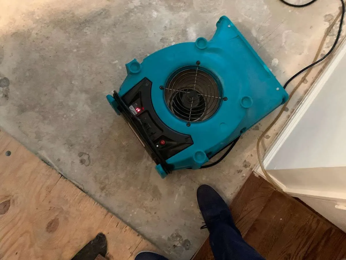 Air mover drying subfloor during Commercial Water Damage Restoration in Cornelius